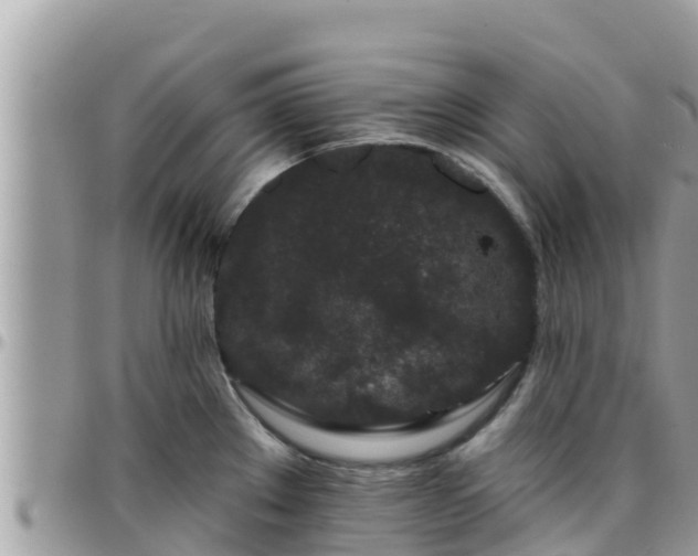 X0000095921289200801181409