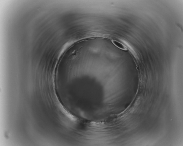 X0000095921291200801181409