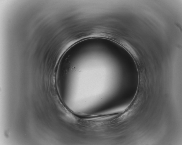 X0000095921292200801181409