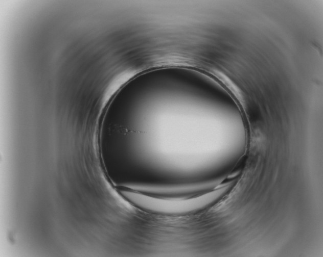 X0000095921293200801181409