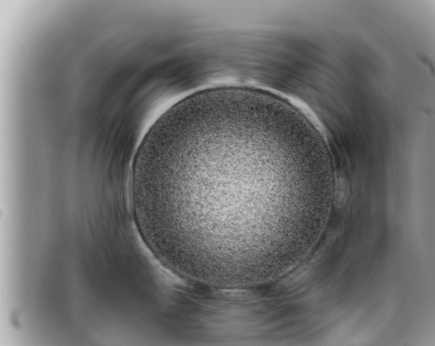 X0000095921295200801181409