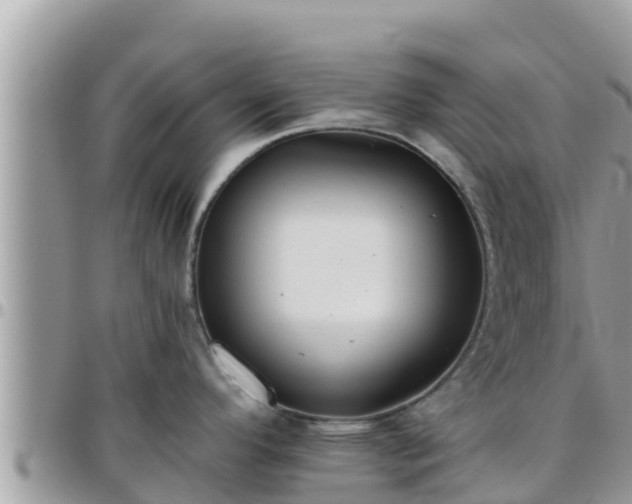 X0000095921296200801181409