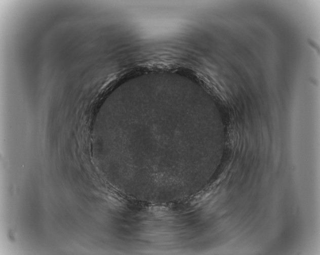 X0000095921297200801181409