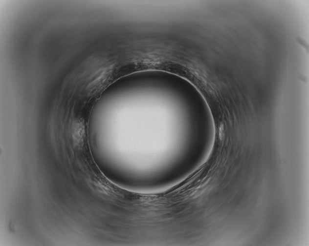 X0000095921299200801181409