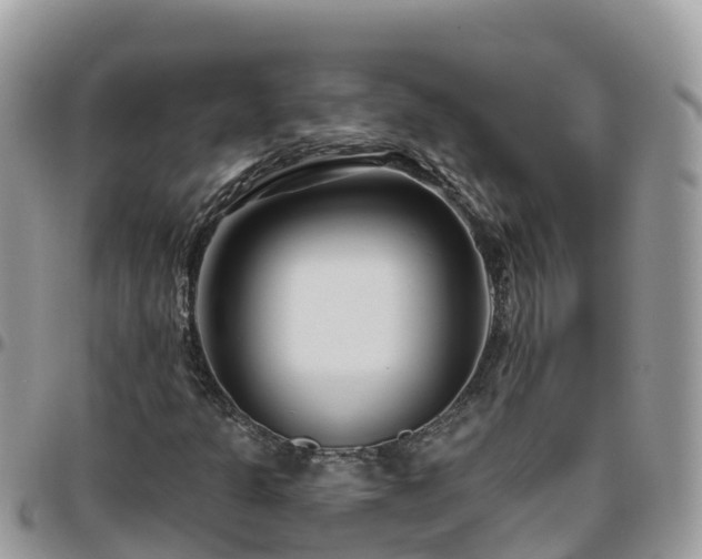 X0000095921301200801181409