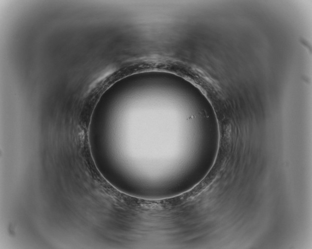 X0000095921302200801181409