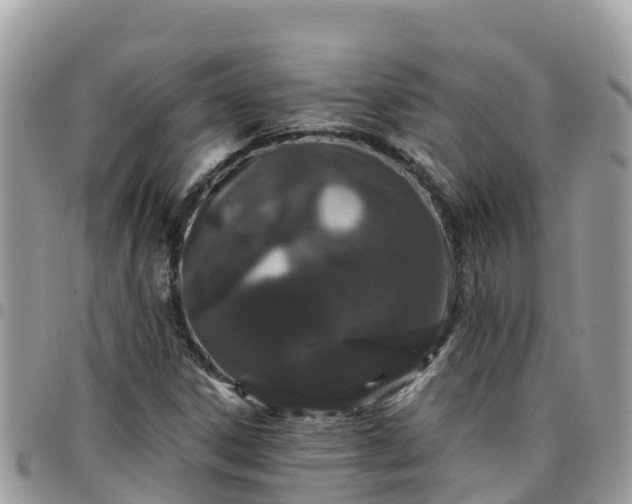 X0000095921306200801181409