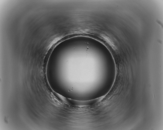 X0000095921308200801181409