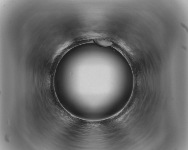 X0000095921309200801181409