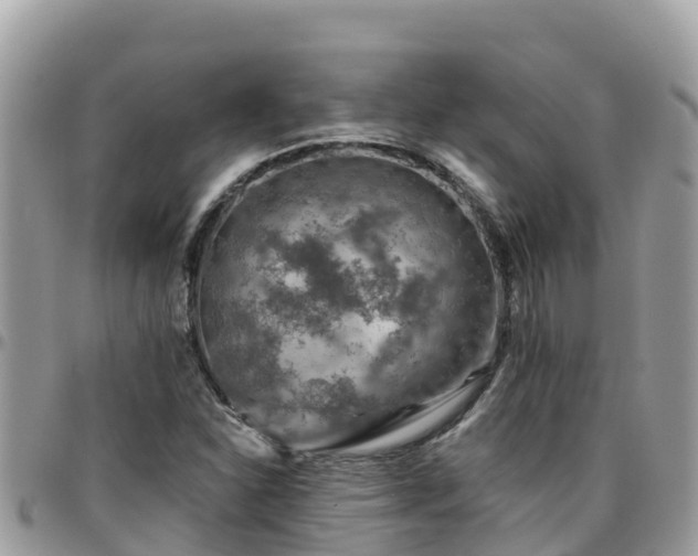 X0000095921310200801181409