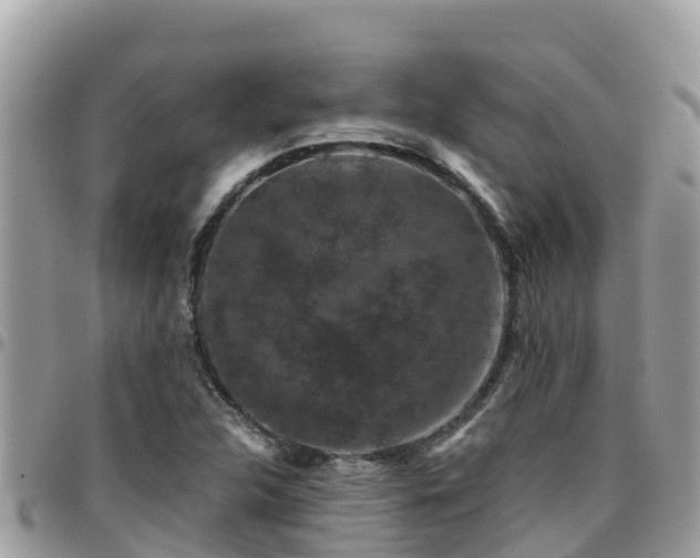 X0000095921312200801181409