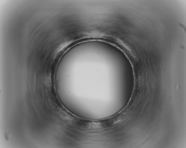 X0000095921315200801181409