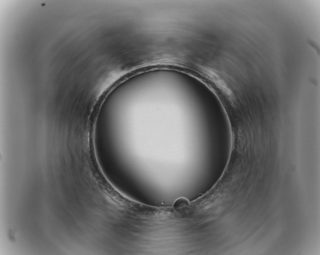 X0000095921316200801181409