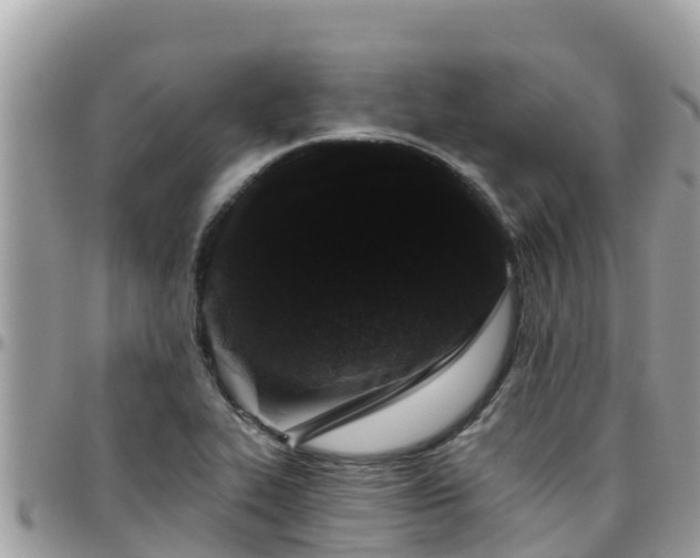 X0000095921319200801181409