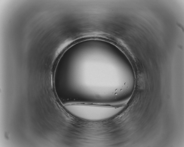 X0000095921320200801181409