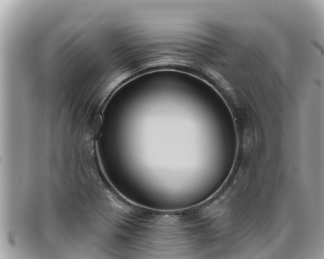 X0000095921321200801181409