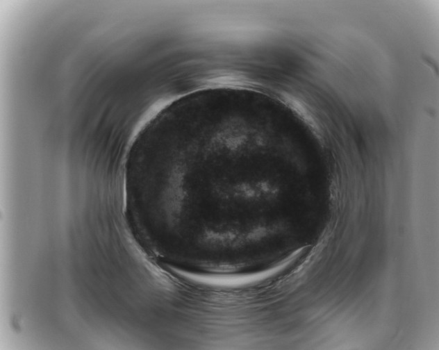 X0000095921323200801181409