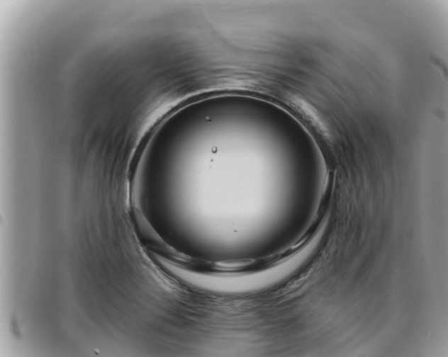 X0000095921324200801181409