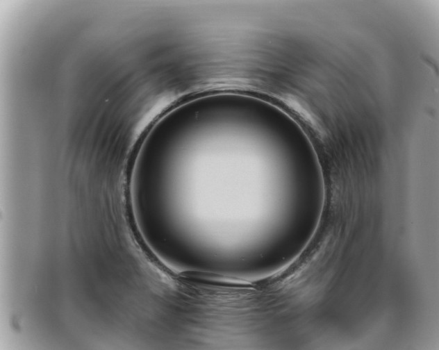 X0000095921325200801181409