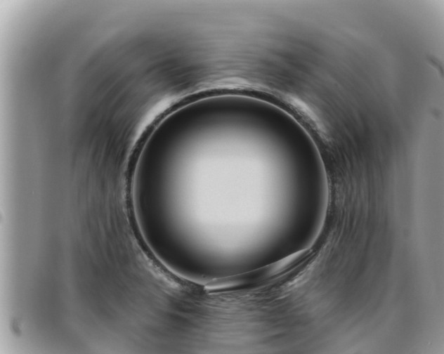 X0000095921326200801181409