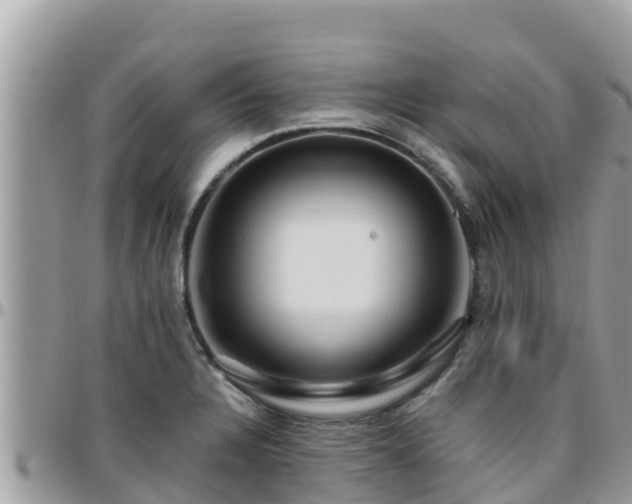 X0000095921328200801181409