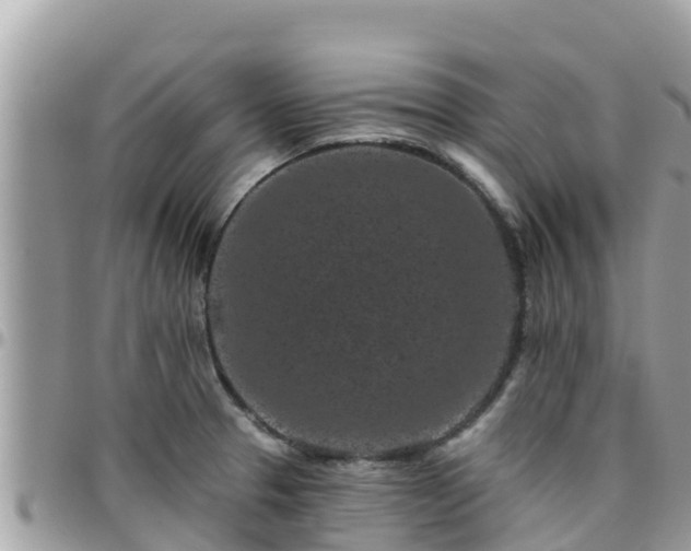 X0000095921329200801181409