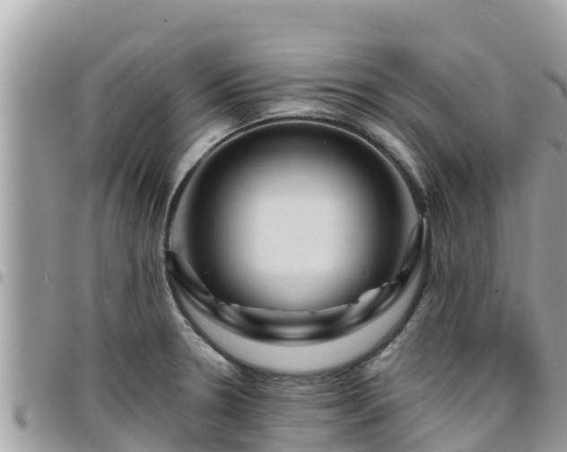 X0000095921330200801181409