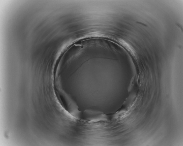 X0000095921334200801181409