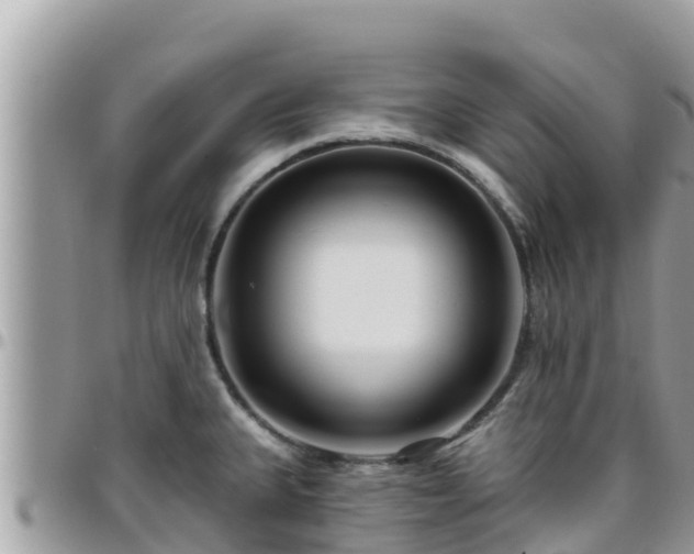 X0000095921335200801181409