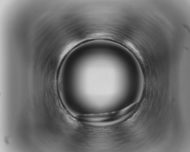 X0000095921336200801181409