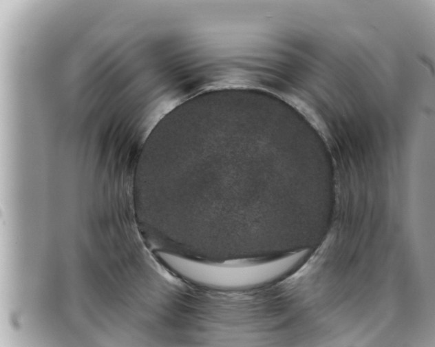 X0000095921337200801181409