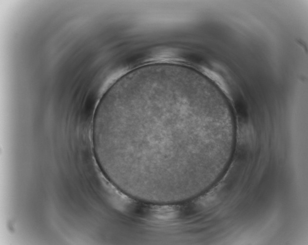 X0000095921338200801181409