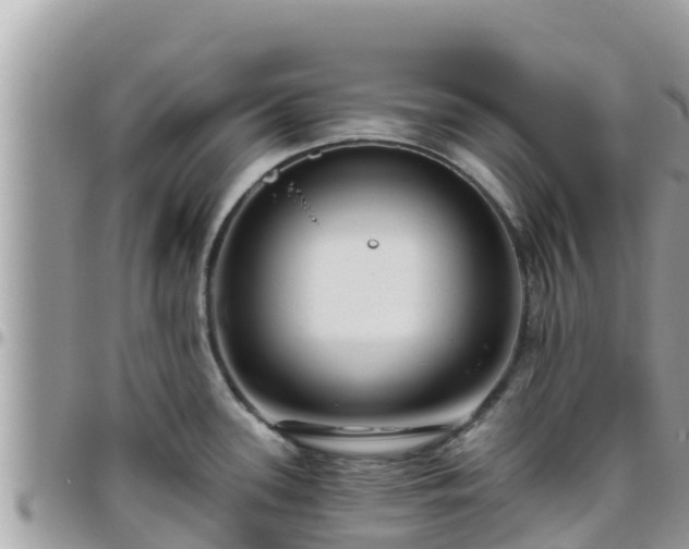 X0000095921339200801181409