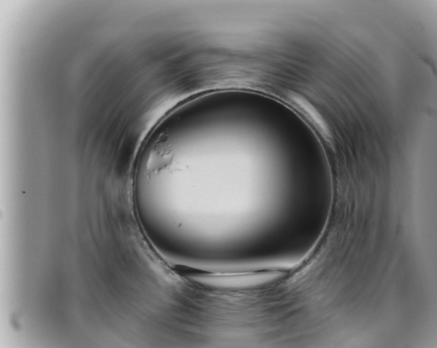 X0000095921340200801181409