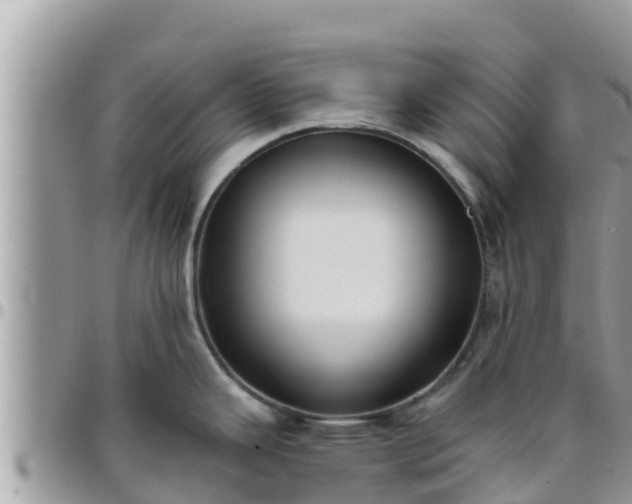 X0000095921343200801181409