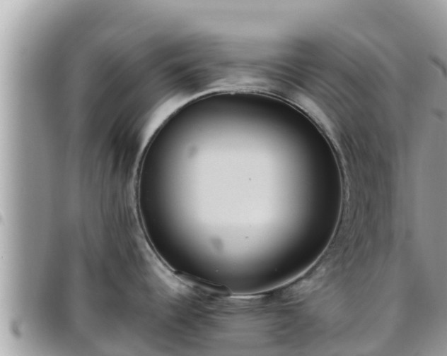 X0000095921344200801181409