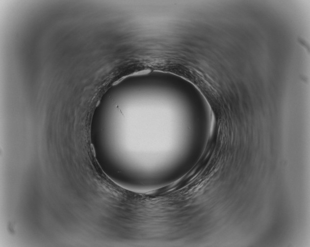 X0000095921345200801181409