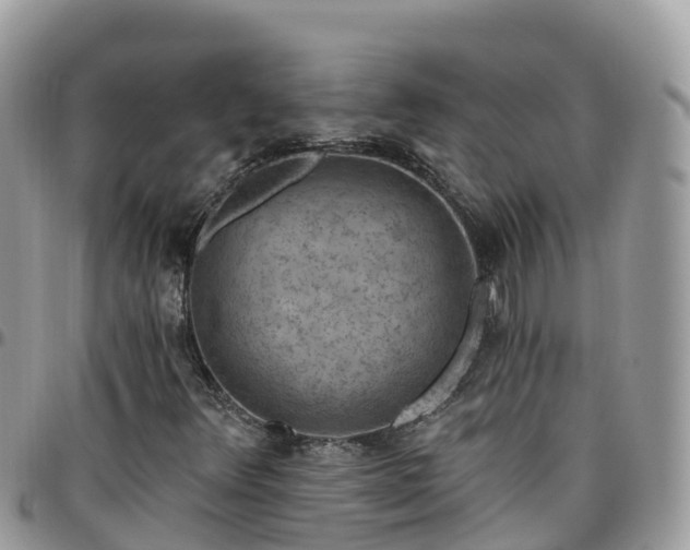 X0000095921348200801181409