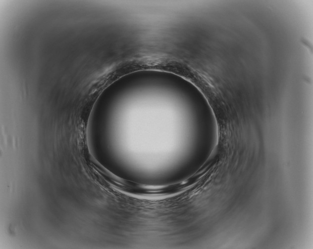 X0000095921349200801181409