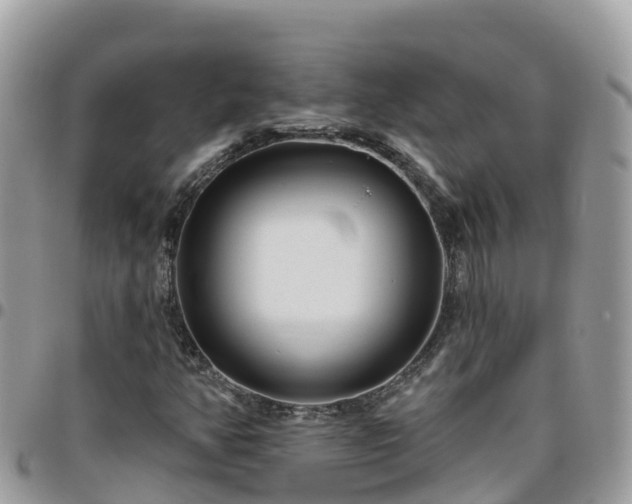 X0000095921350200801181409