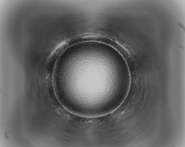 X0000095921351200801181409