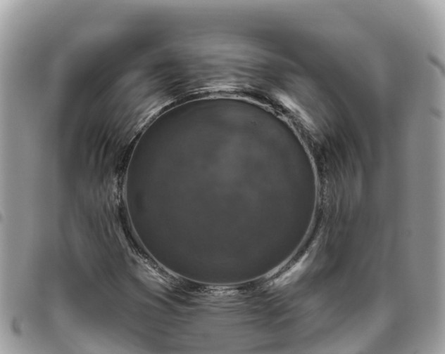 X0000095921353200801181409