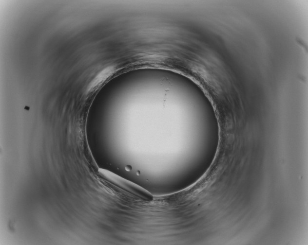 X0000095921354200801181409