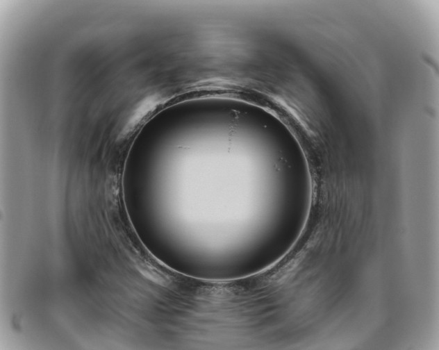 X0000095921355200801181409