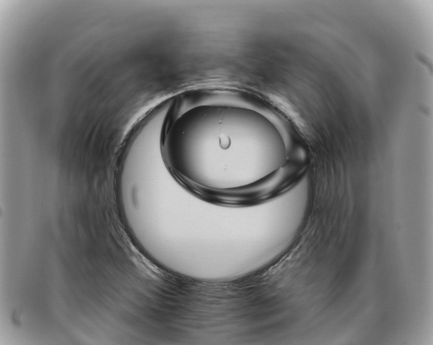 X0000095921356200801181409