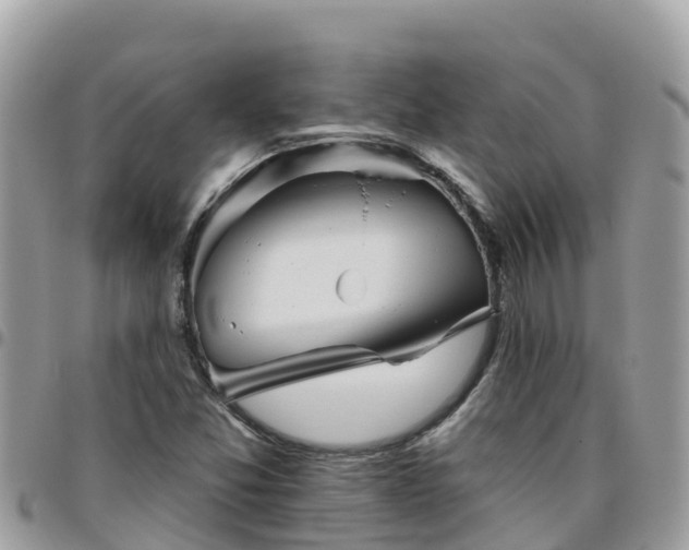 X0000095921357200801181408