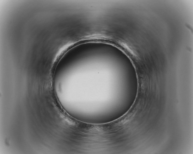 X0000095921358200801181408