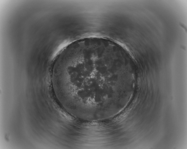 X0000095921359200801181408