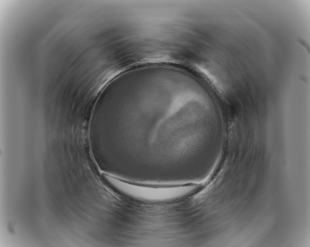 X0000095921361200801181408