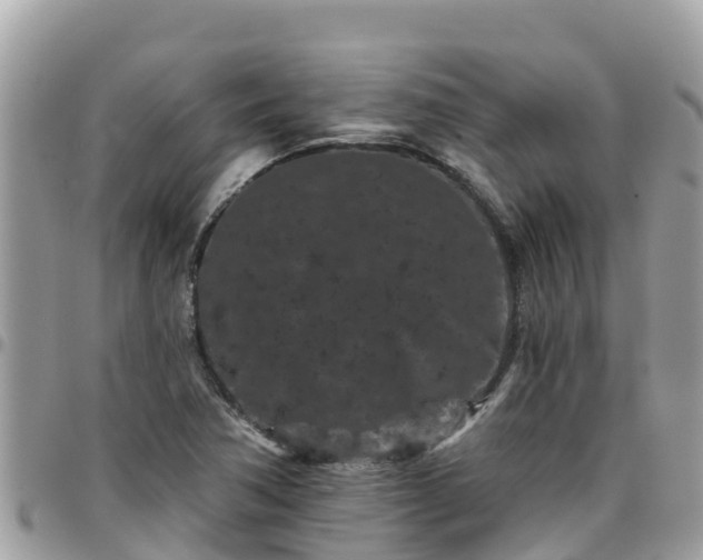 X0000095921362200801181408